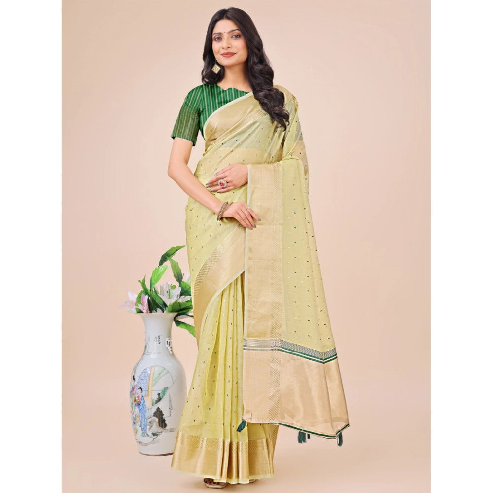 Light Green organza saree for women — full drape view